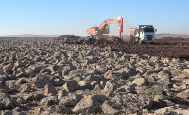 İdil Kırsalında bulunan taşlar temizleniyor