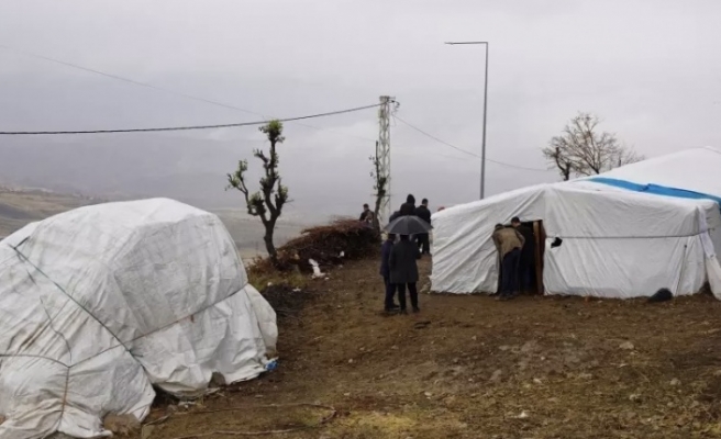 Köpek Saldırısı 28 Koyun telef oldu