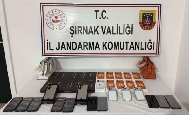 Şırnak’ta operasyon 65 kişi gözaltına alındı