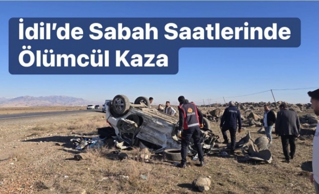İdil’de Trafik Kazası: 2 Ölü, 6 Yaralı