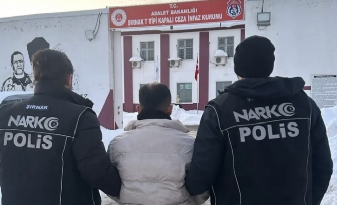 Şırnak’ta Firari hükümlü yakalandı
