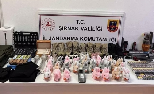 Şırnak’ta operasyon 117 kişiye gözaltı