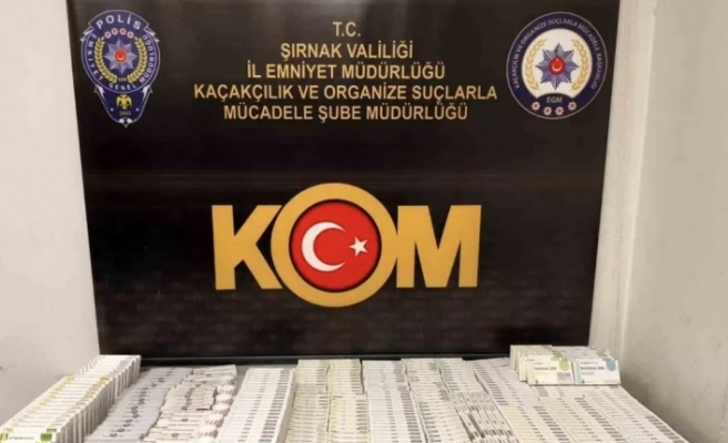 Şırnak’ta operasyon 48 gözaltı 3 tutuklama