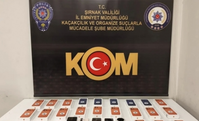 Şırnak’ta operasyon 49 kişiye gözaltı