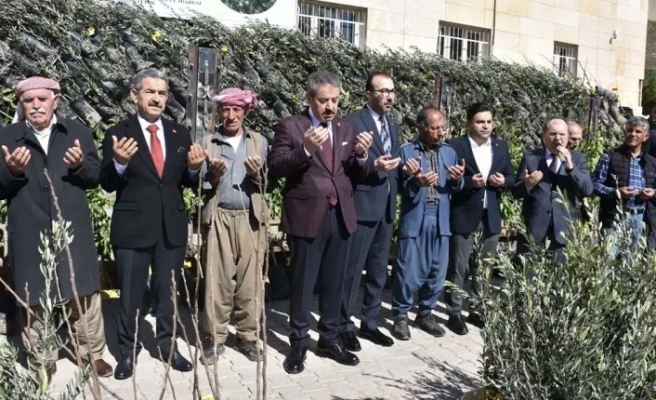 Şırnak’ta 25 bin Fidan dağıtımı