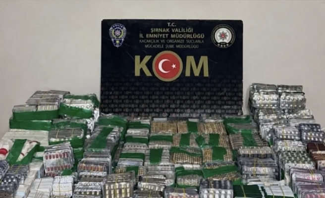 Şırnak’ta operasyon 4 Tutuklama