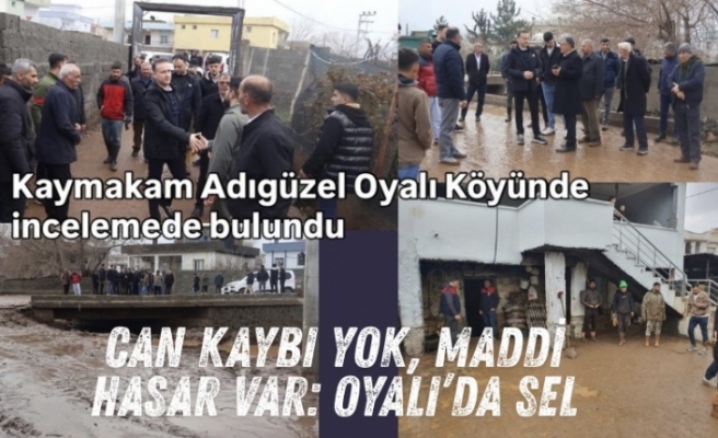 Oyalı Köyü Selin Yaralarını Sarıyor