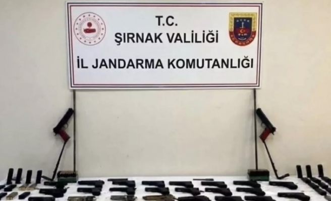 Şırnak’ta operasyon 14 tutuklama