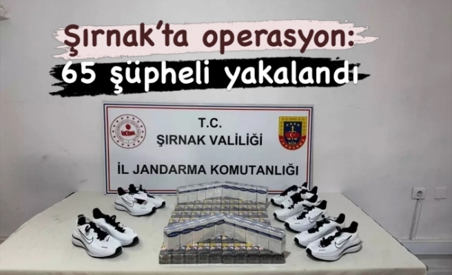 Şırnak’ta operasyon 65 kişi yakalndı