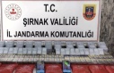 Şırnak’ta operasyon 22 kişi gözaltına alındı