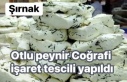 Otlu Peyniri Coğrafi işaret tescillendi