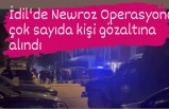 İdil'de Newroz Operasyonu: 20 gözaltı