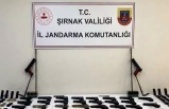 Şırnak’ta operasyon 14 tutuklama