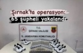 Şırnak’ta operasyon 65 kişi yakalndı