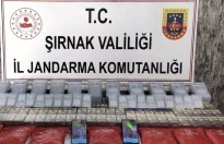Şırnak’ta operasyon 22 kişi gözaltına alındı