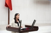 Milletvekili Aslan’dan Meclis’e “ Zorla Kaybetmeler” önerisi