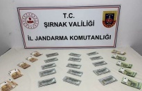 Şırnak’ta operasyon 103 gözaltı