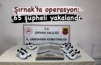 Şırnak’ta operasyon 65 kişi yakalndı