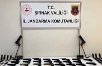 Şırnak’ta operasyon 14 tutuklama
