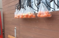 Hayırsever’den askıda meyve torbaları