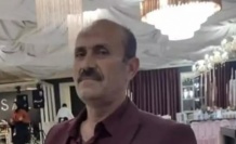 Arı sokması sonucu öldü