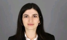 DEM Parti Eş Başkanı ihraç istemi ile disiplin kuruluna sevk edildi