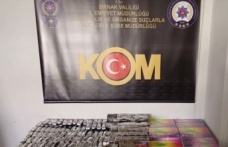 Şırnak’ta operasyon 1 tutuklama