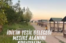 İdil’in doğal miras alanı: Mesire alanına sahip çıkalım