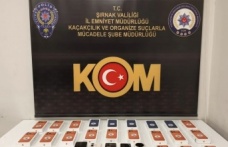 Şırnak’ta operasyon 49 kişiye gözaltı