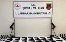 Şırnak’ta operasyon 14 tutuklama