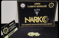 Cizre’de uyuşturucu operasyonu