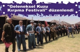 "Geleneksel Kuzu Kırpma Festivali" düzenlendi