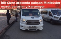 Kriz Cizre İdil arasında çalışan minibüs durağını vurdu
