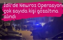 İdil'de Newroz Operasyonu: 20 gözaltı