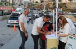 Ağaç katliamı için imza kampanyası