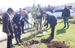 Dirsekli Ortaokulunda Fidan dikimi etkinliği