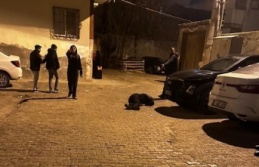 Silahlı Saldırı düzenleyen şüpheli yakalandı