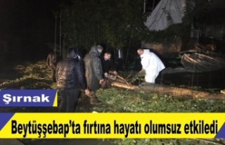 Fırtına Beytüşşebap'ta hayatı olumsuz etkiledi
