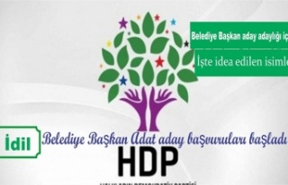HDP belediye başkan aday aday başvuruları başladı