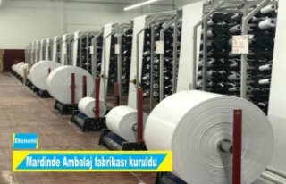 Mardin'de Ambalaj Fabrikası açıldı