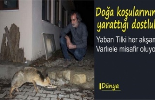 Yaban Tilki ile Varlıel'in dostluğu