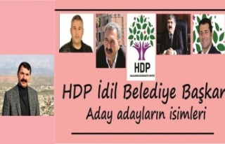 HDP İdil Belediye Başkan Aday adayları belli oldu