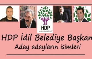 HDP idil Belediye Başkan aday adaylığına başvuranların...