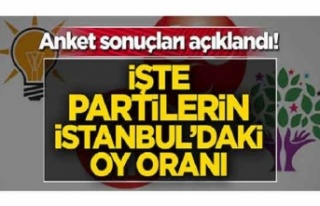 Partilerin İstanbuldaki oy oranları