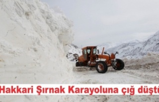 Şırnak Hakkari karayolu kapandı