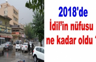 İdil’in 2018 ‘de Nüfusu ne kadar oldu ?