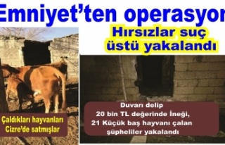 Emniyet’ten hırsızlara suçüstü 2 kişi tutuklandı