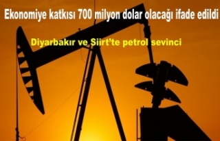 Siirt Diyarbakır'daki 3 kuyuda petrol rezervi...