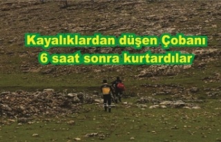 Topraklı Köyünde kayalıklardan düşen çobanı...