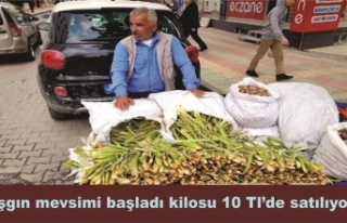 Işgın Bitkisi 'nin mevsimi başladı Köylülerin...